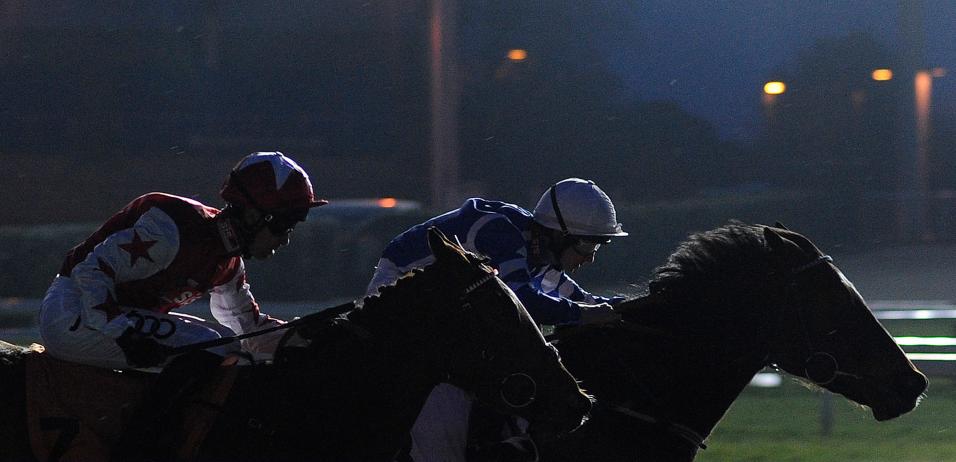 Horses running at night